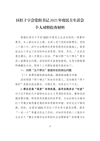 区红十字会党组书记2025年度民主生活会个人对照检查材料.docx