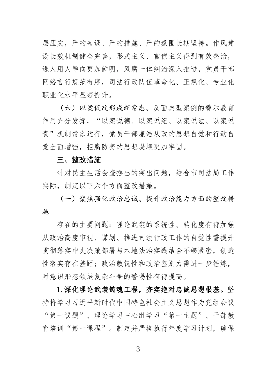 市局党组2025年度民主生活会查摆问题整改方案.docx_第3页