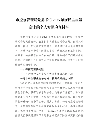 市应急管理局党委书记2025年度民主生活会上的个人对照检查材料.docx