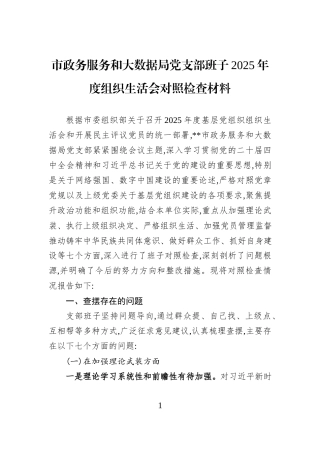 市政务服务和大数据局党支部班子2025年度组织生活会对照检查材料.docx