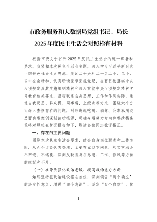 市政务服务和大数据局党组书记、局长2025年度民主生活会对照检查材料.docx