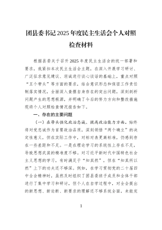 团县委书记2025年度民主生活会个人对照检查材料.docx