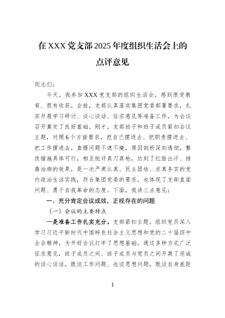 在XXX党支部2025年度组织生活会上的点评意见.docx
