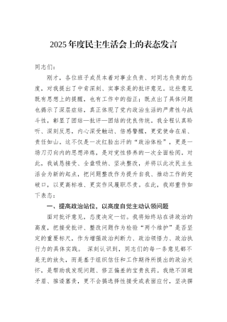 2025年度民主生活会上的表态发言.docx