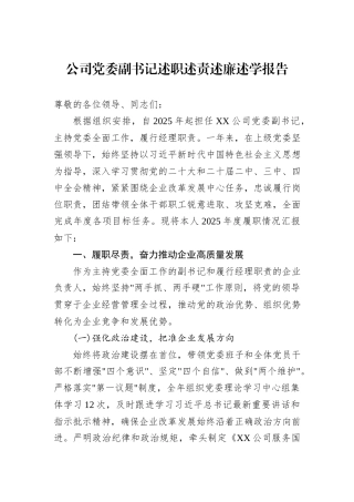 公司党委副书记述职述责述廉述学报告.docx