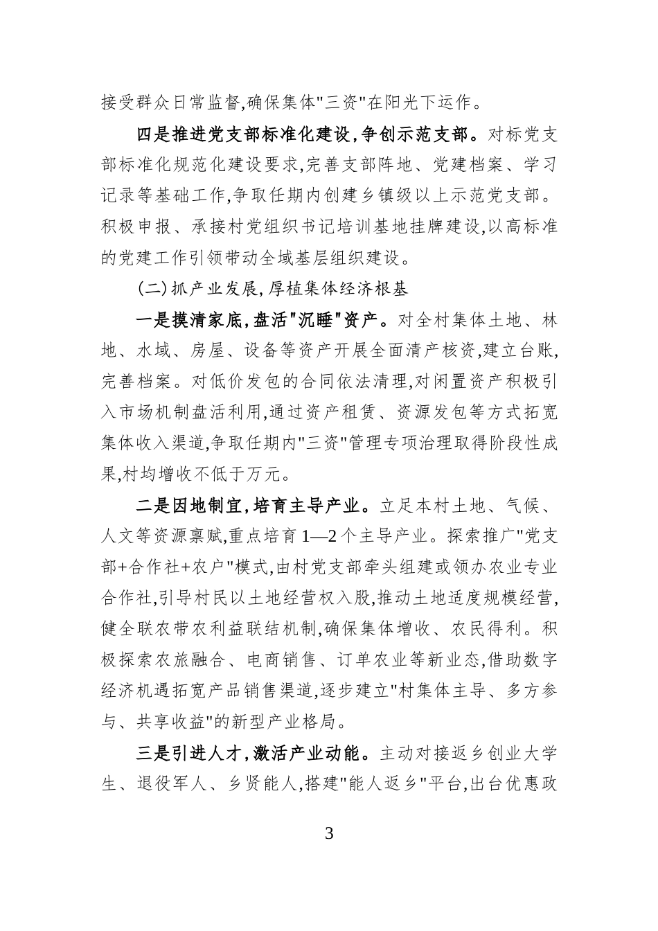 XX村党组织书记2026—2030年任期工作规划.docx_第3页