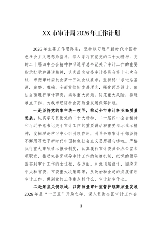 XX市审计局2026年工作计划.docx