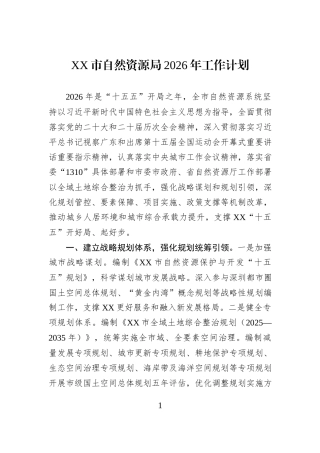 XX市自然资源局2026年工作计划.docx