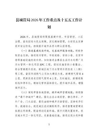 县城管局2026年工作重点及十五五工作计划.docx