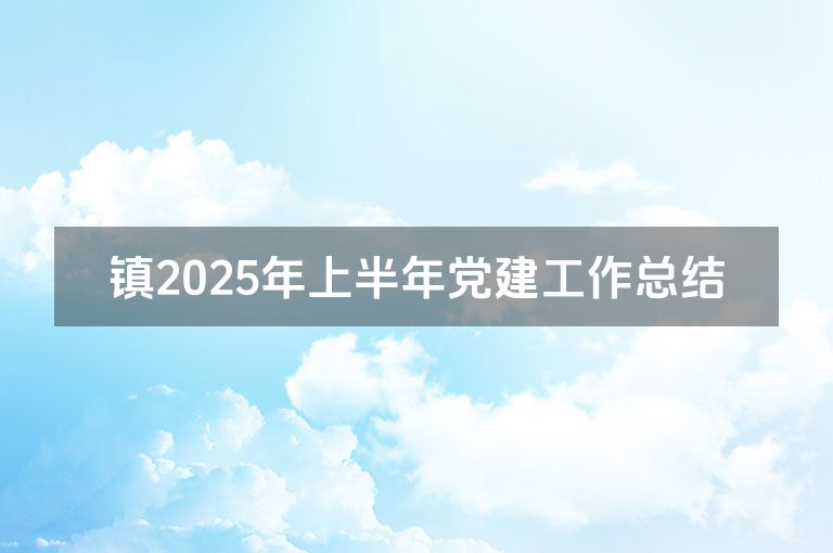 镇2025年上半年党建工作总结