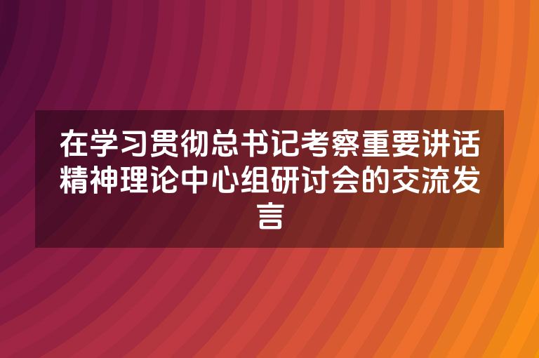 在学习贯彻总书记考察重要讲话精神理论中心组研讨会的交流发言