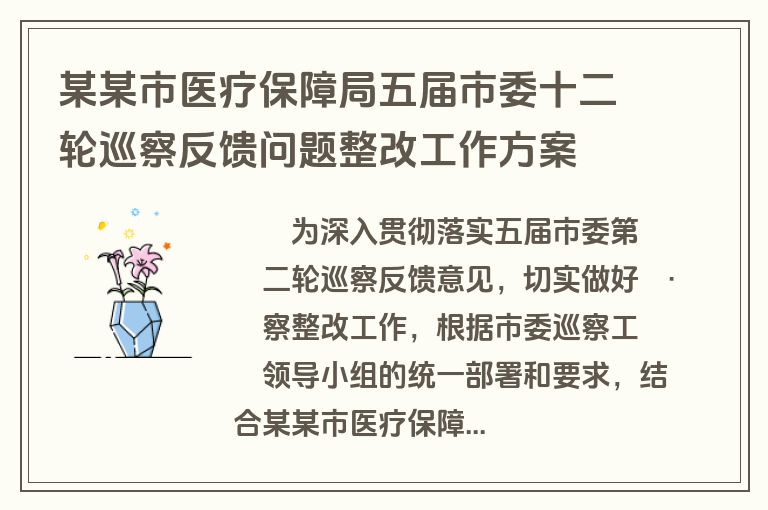 某某市医疗保障局五届市委十二轮巡察反馈问题整改工作方案